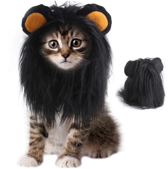 Feline Frights: Dressing Your Cat for a Purr-fect Halloween